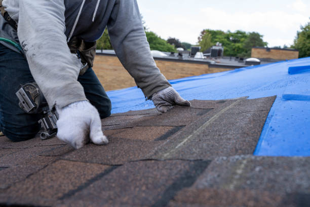 Best Storm Damage Roof Repair  in Sauk Rapids, MN