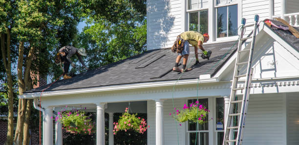 Best Flat Roof Repair Services  in Sauk Rapids, MN